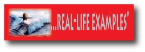 Examples Banner